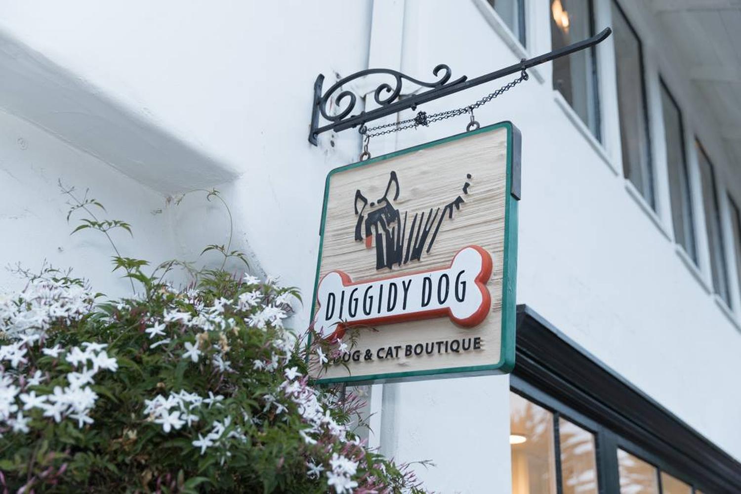 Diggidy Dog 2