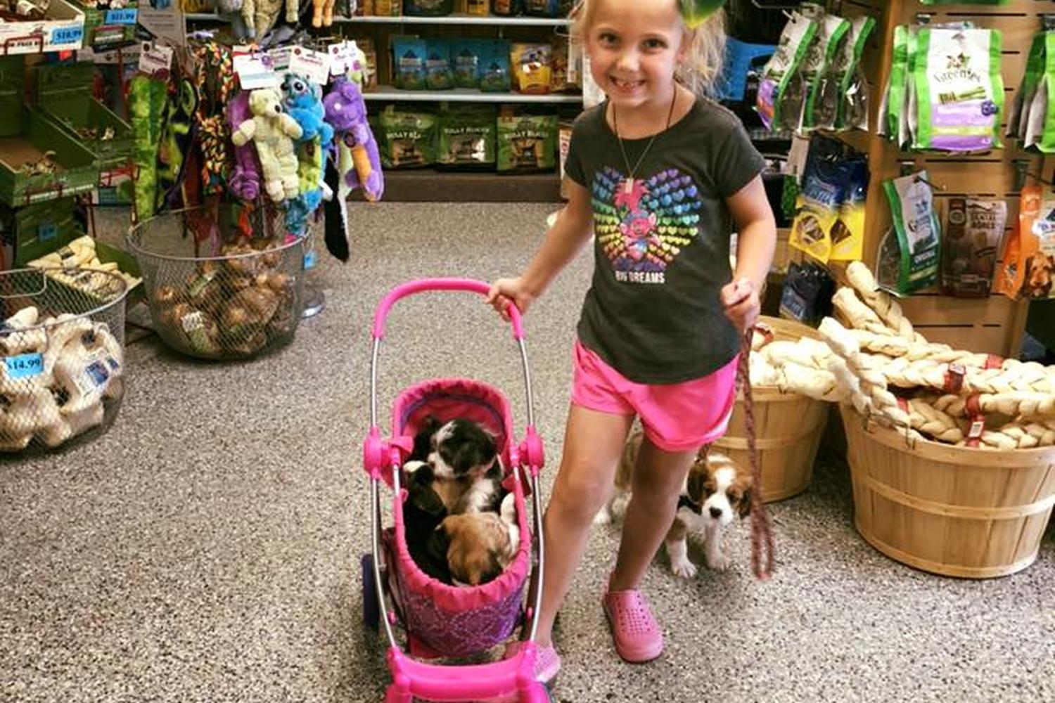 Paw & Claw Pet Palace 0