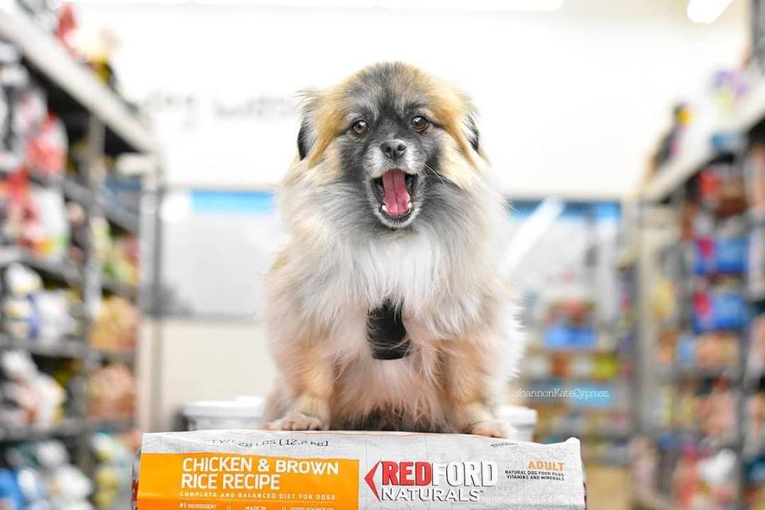 Pet Supplies Plus Concord Mills 0