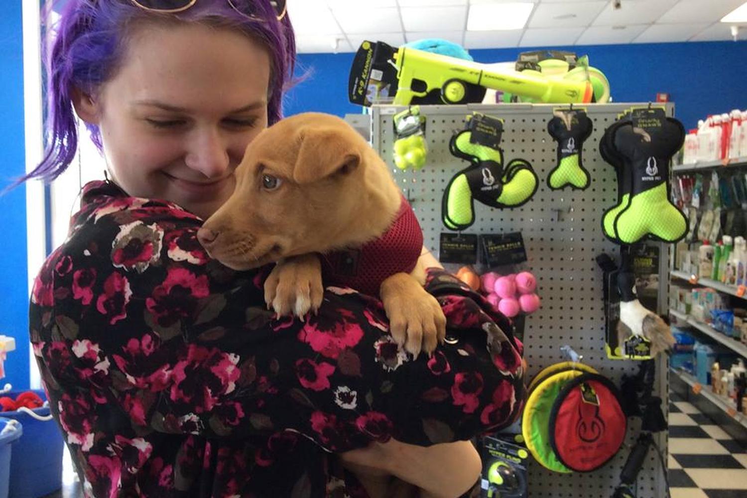 The Pet Place 0
