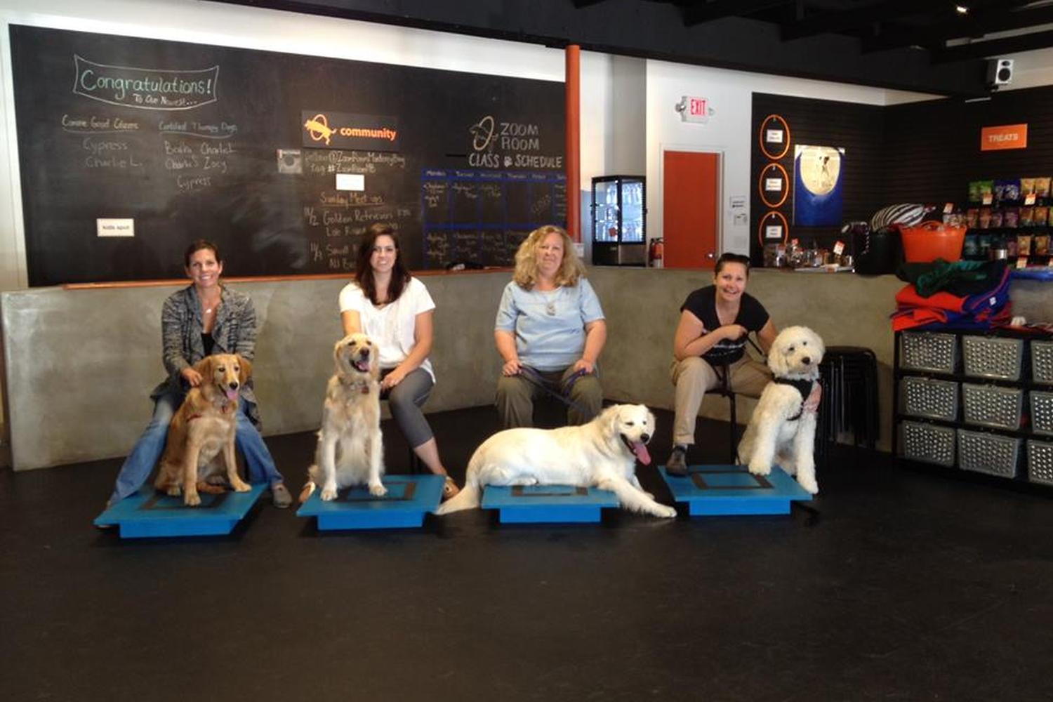 Zoom Room Dog Training 3
