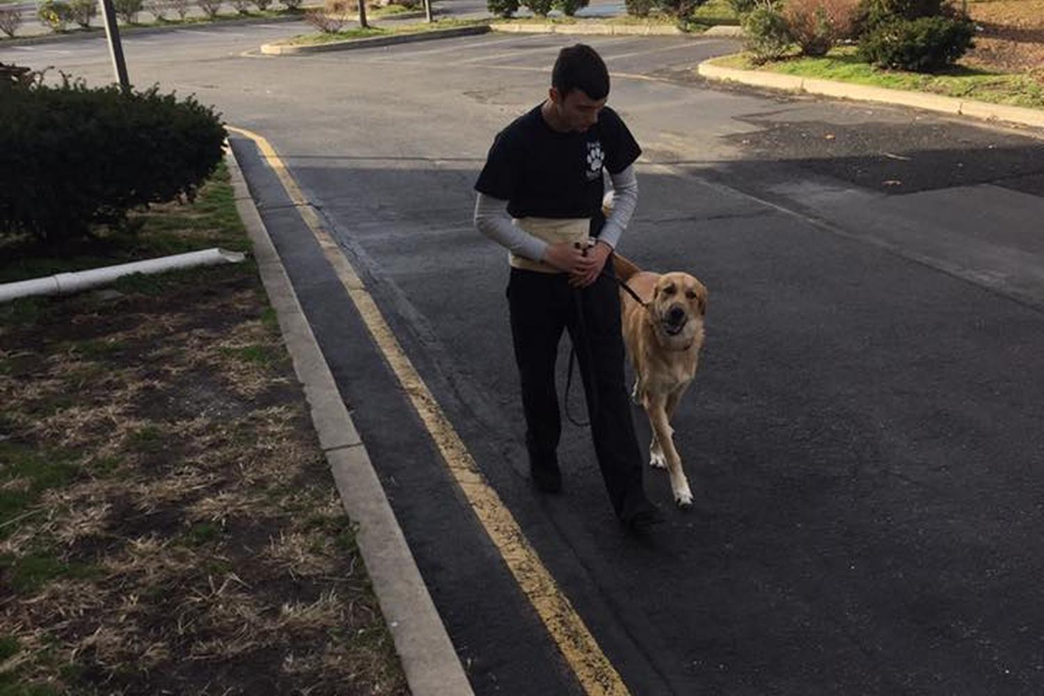Hanlon's K9 Dog Training Academy 4