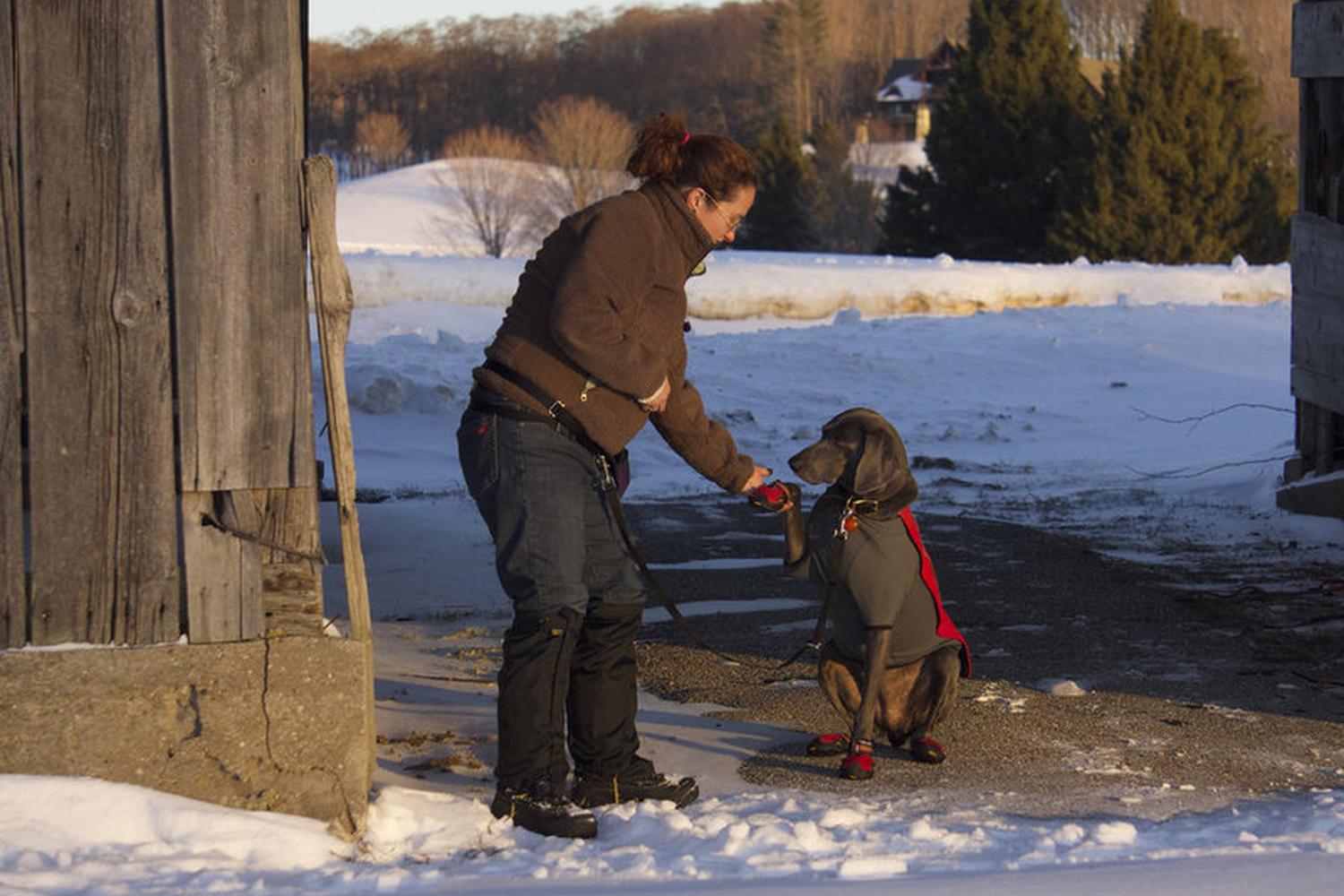 Progressive Pet Training LLC 4