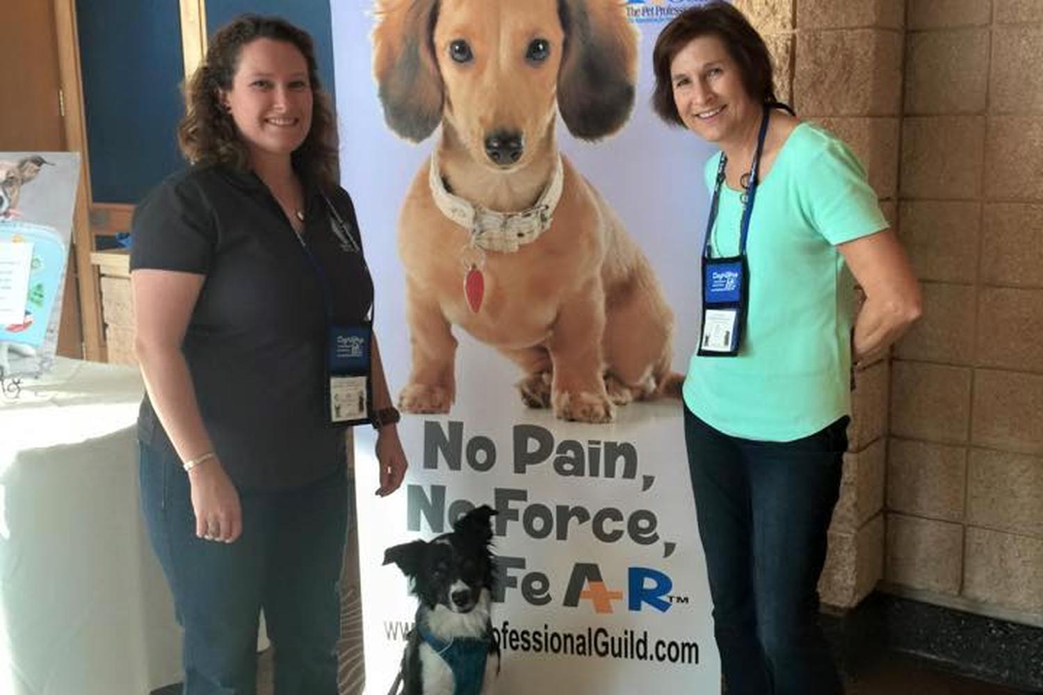 Progressive Pet Training LLC 3