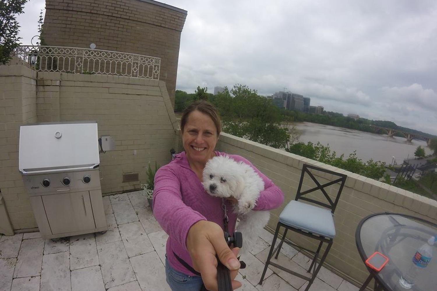 Beltway Dog Training 1