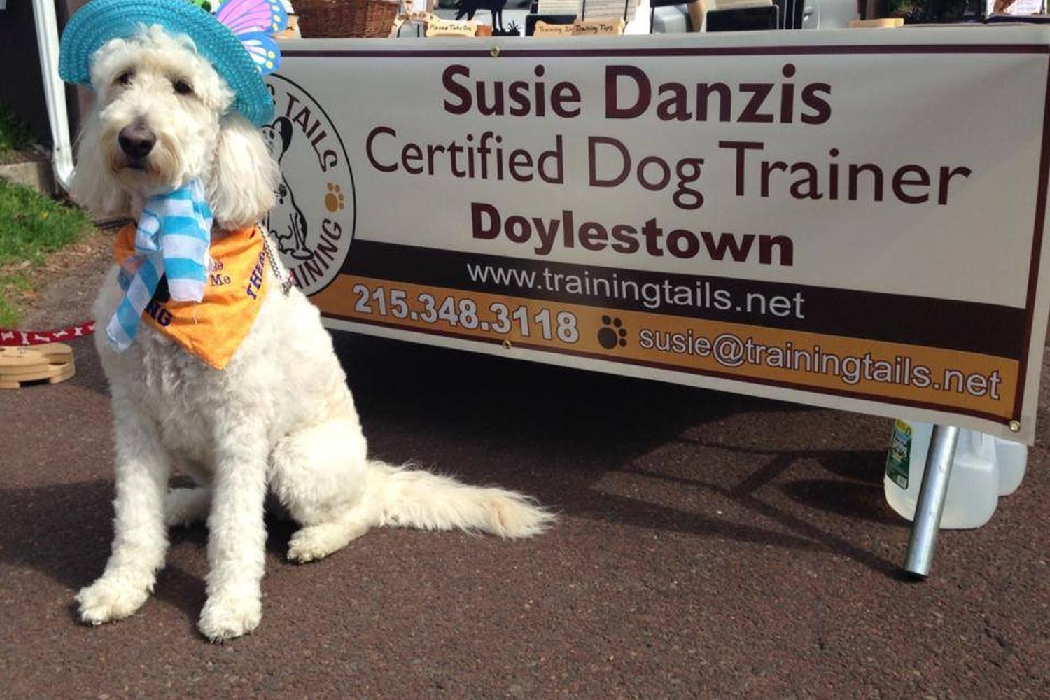 Training Tails Dog Training 2