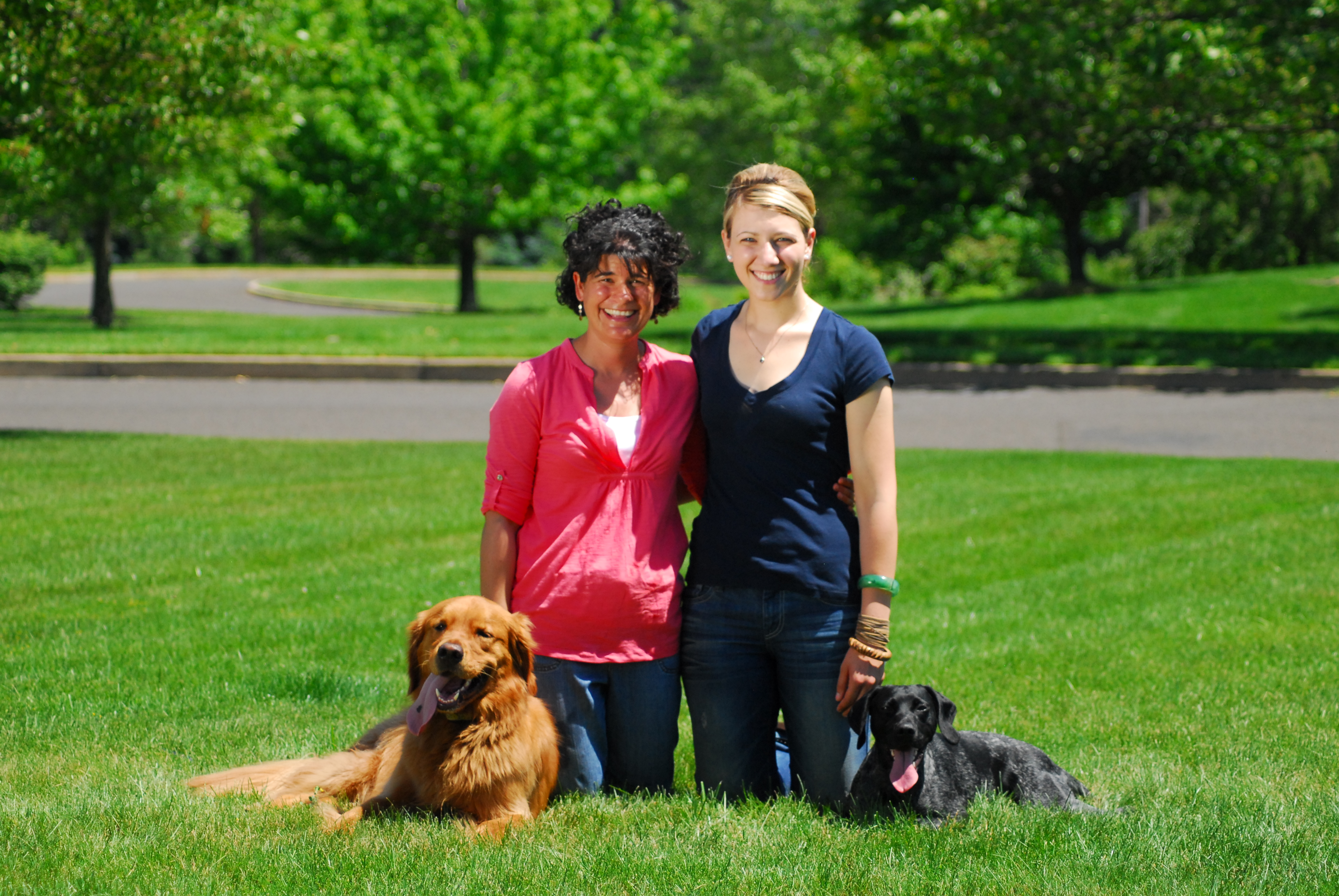 Training Tails Dog Training 0