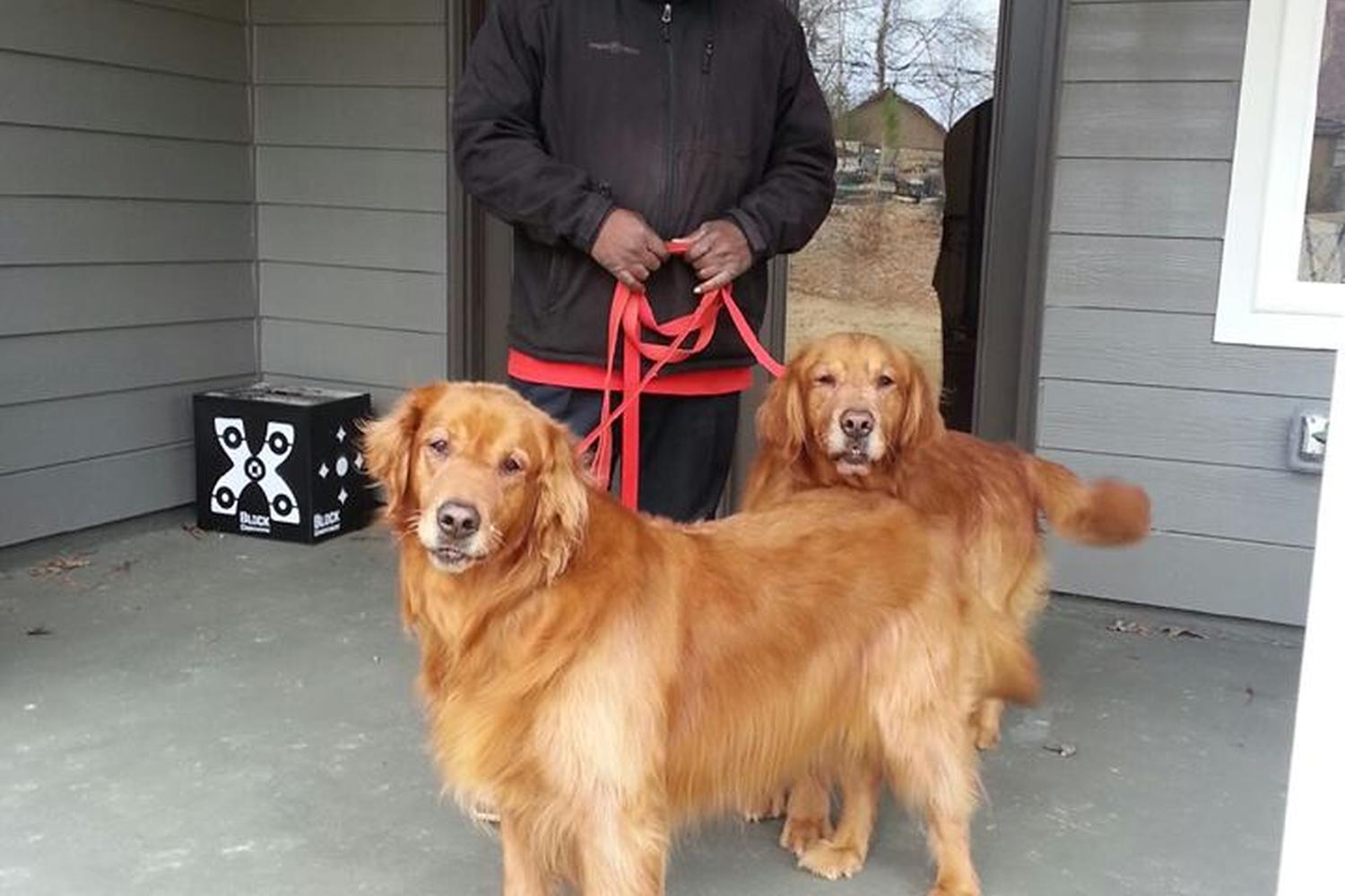 Infinity Dog Training 4