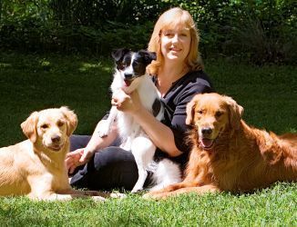 Kaizen Pet Training & Behavior 0