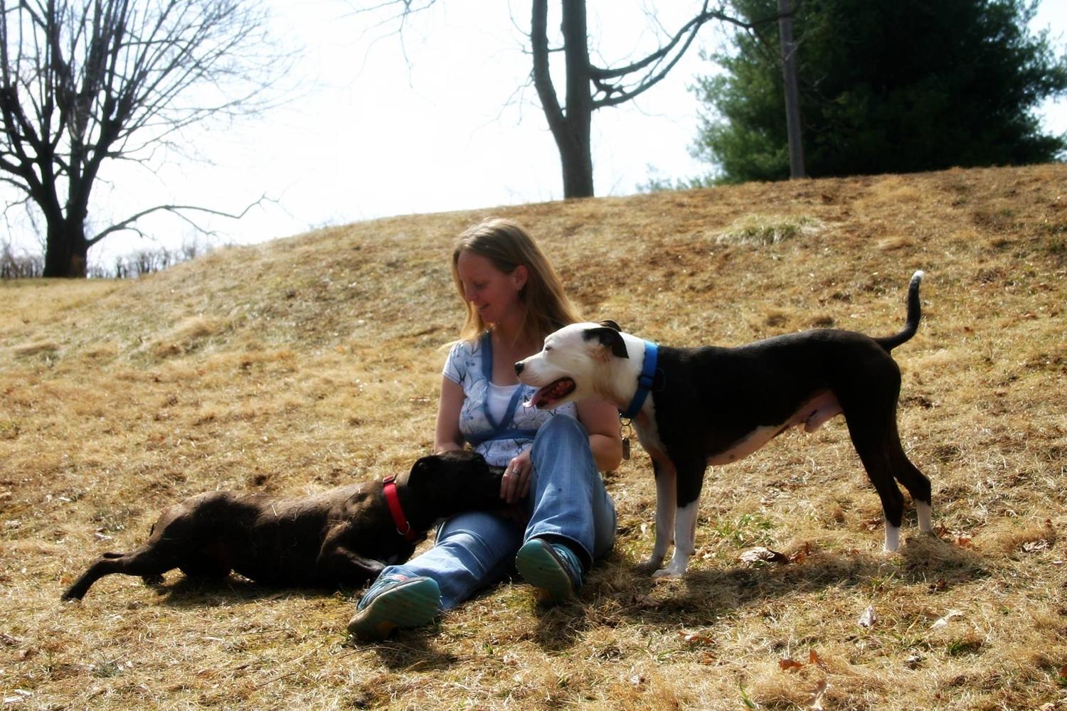 The Balanced Dog, LLC 4