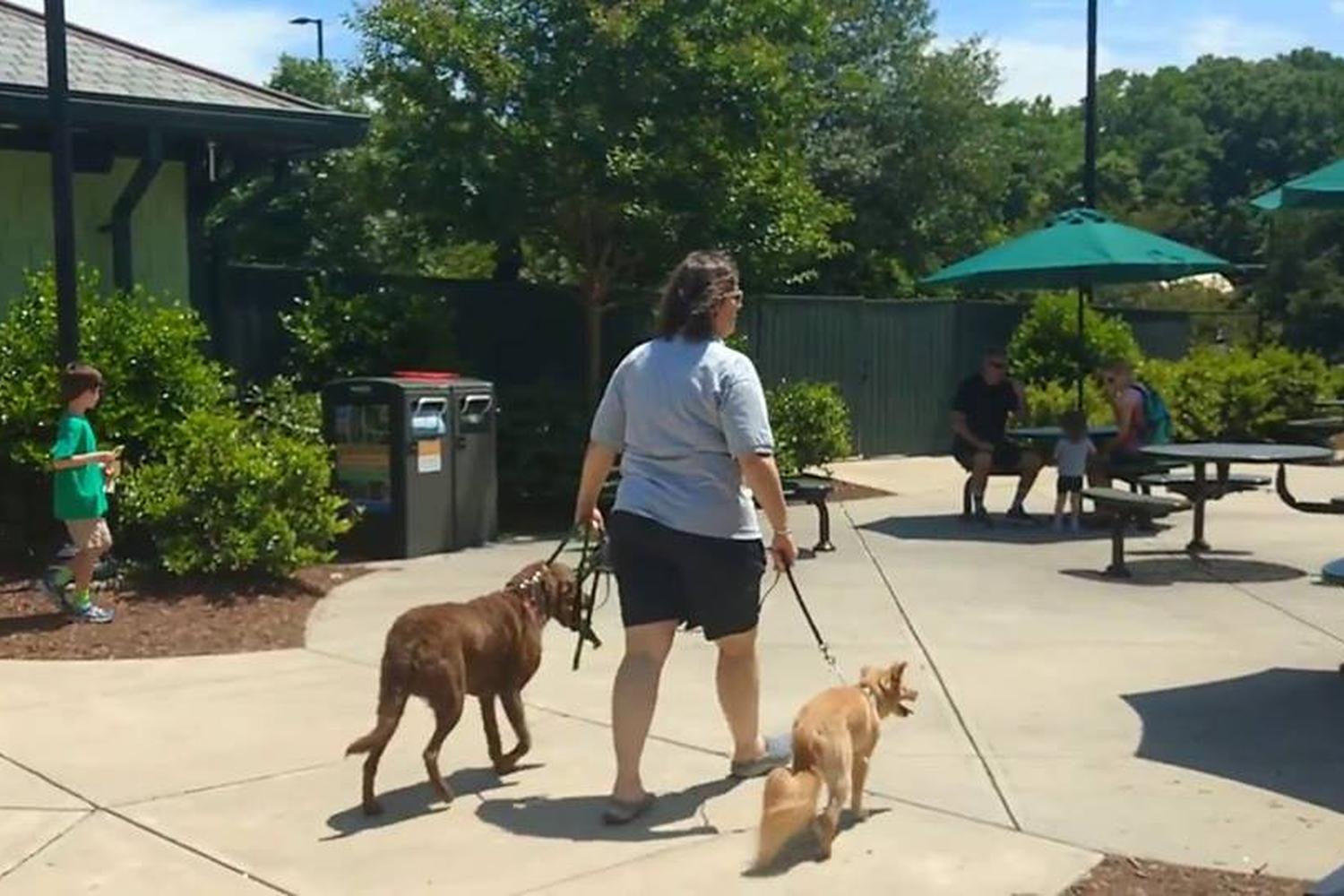 Topline K9 Solutions 3