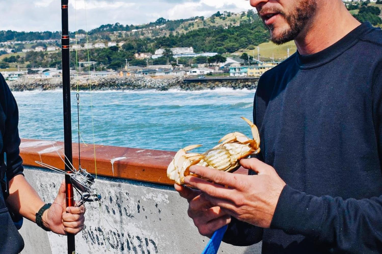 Crabbing Under the Golden Gate Bridge 1