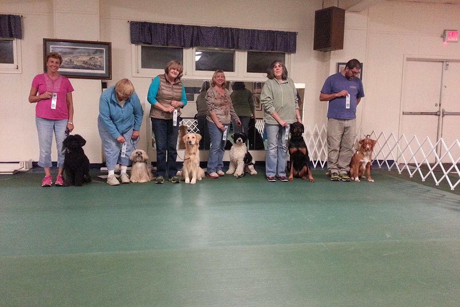 Blue Ribbon Dog Sports Coaching LLC 2