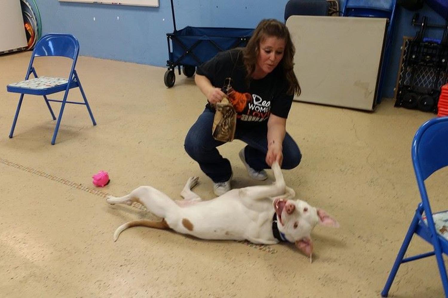 Mutt Manners Dog Training 3