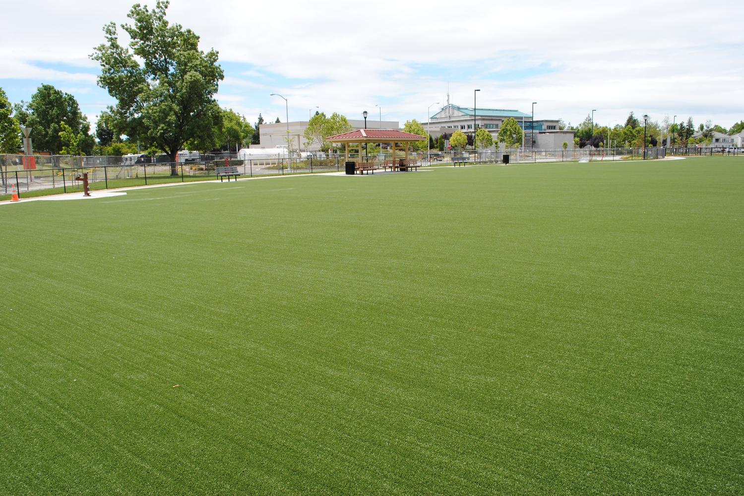 Fremont Central Park Dog Park 1