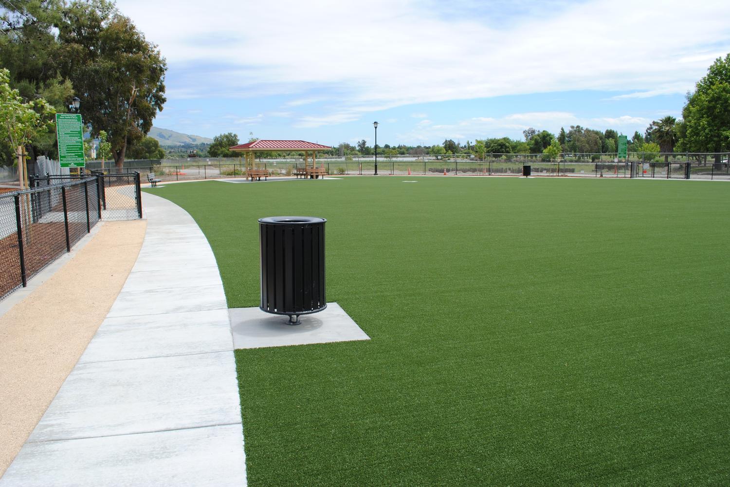 Fremont Central Park Dog Park 4