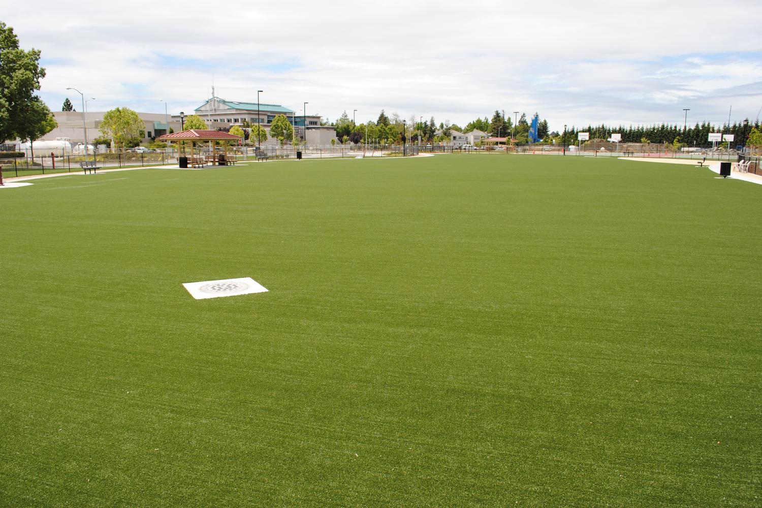 Fremont Central Park Dog Park 3