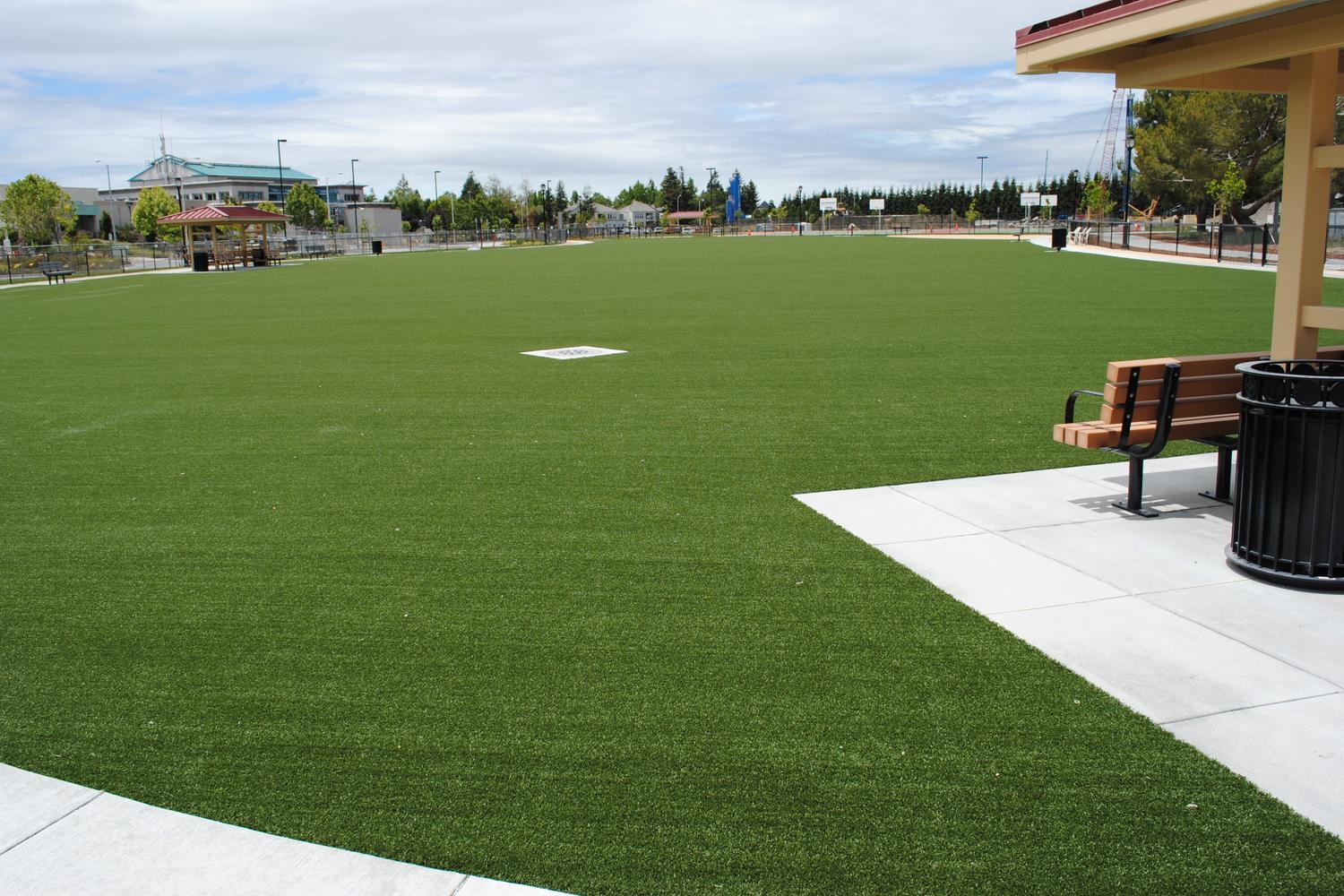 Fremont Central Park Dog Park 2