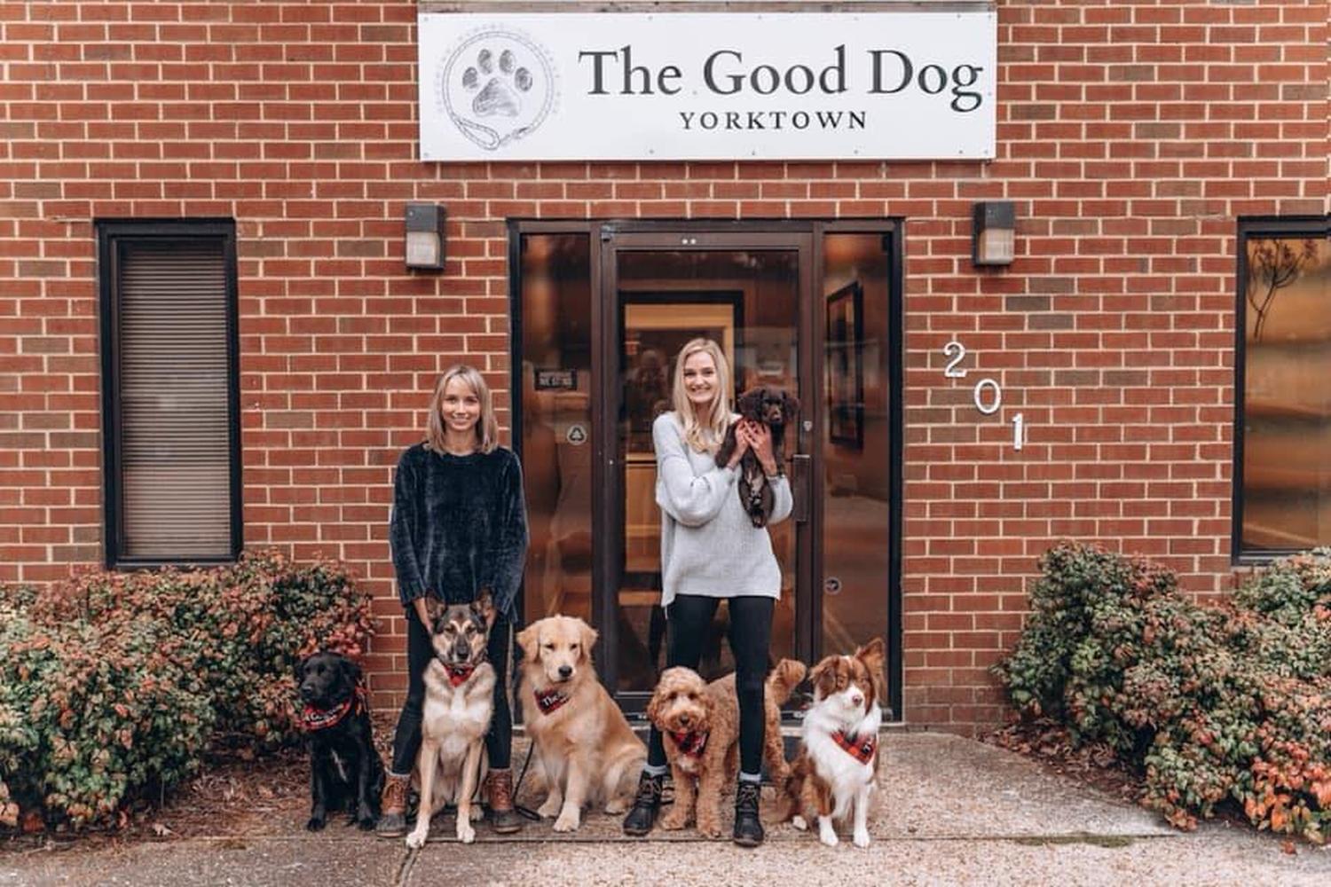 The Good Dog Yorktown 3