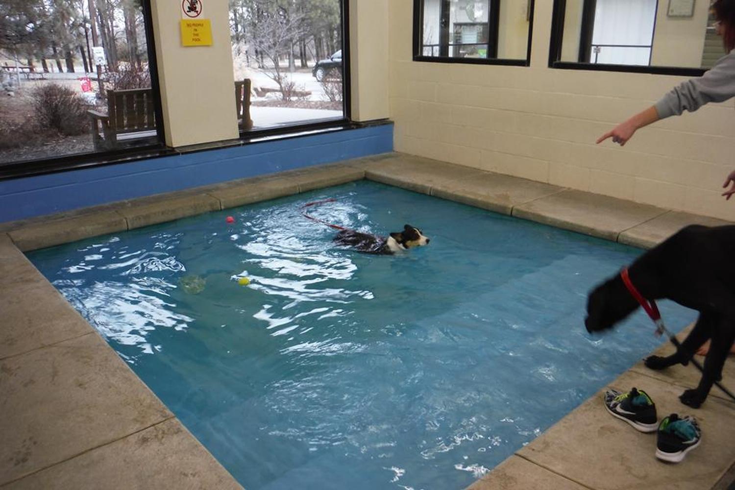 Sit Means Sit Dog Training Corporate Office and Training Center 3