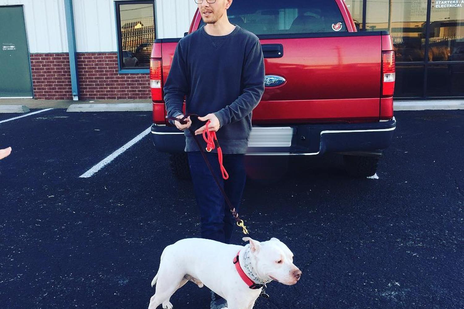 Modern Dog Training & Behavior 4