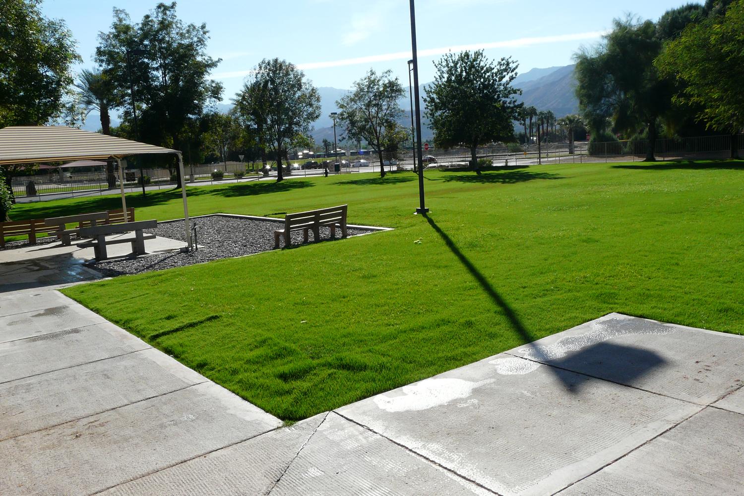 Civic Center Dog Park 1