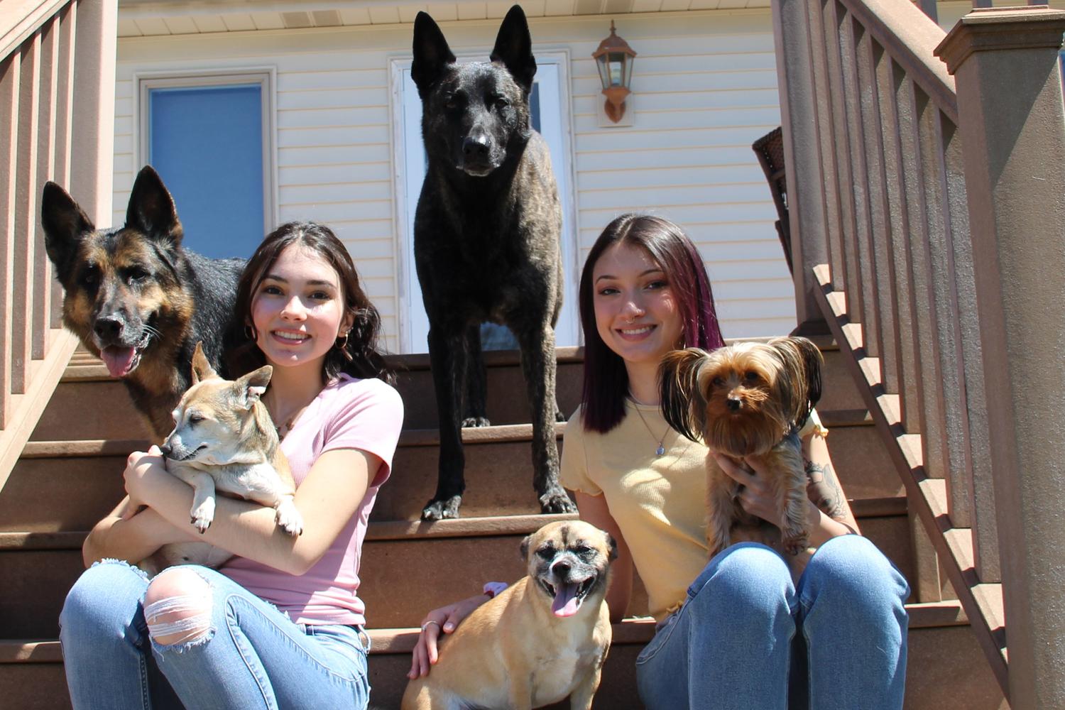 First Class Dog Training 6