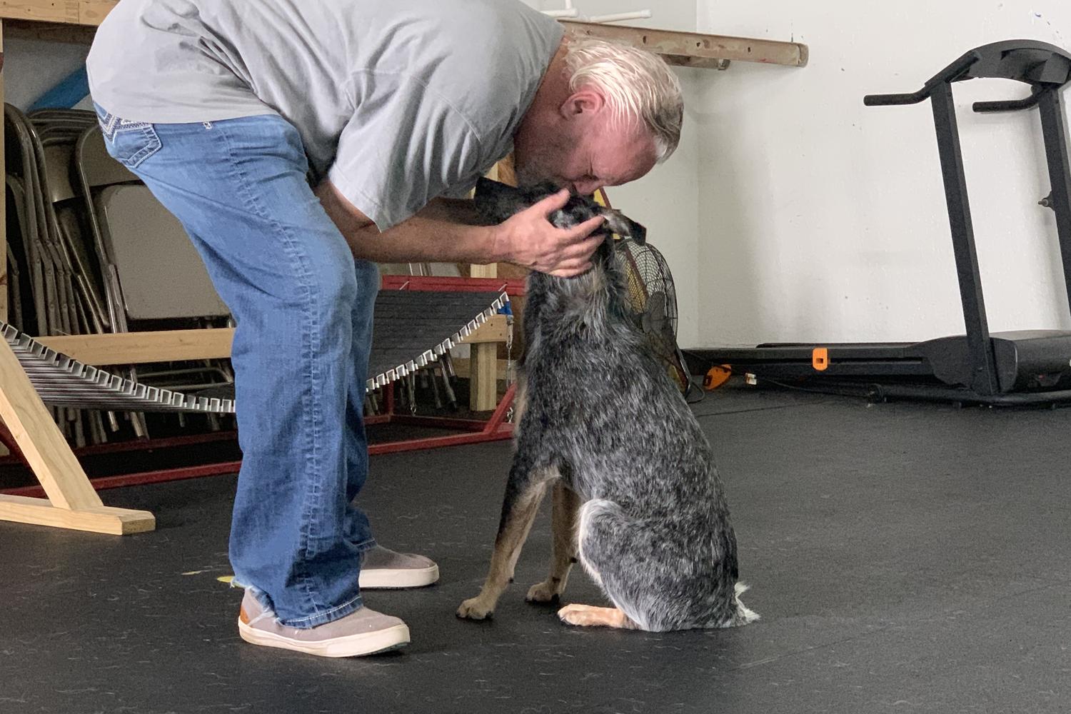 First Class Dog Training 0