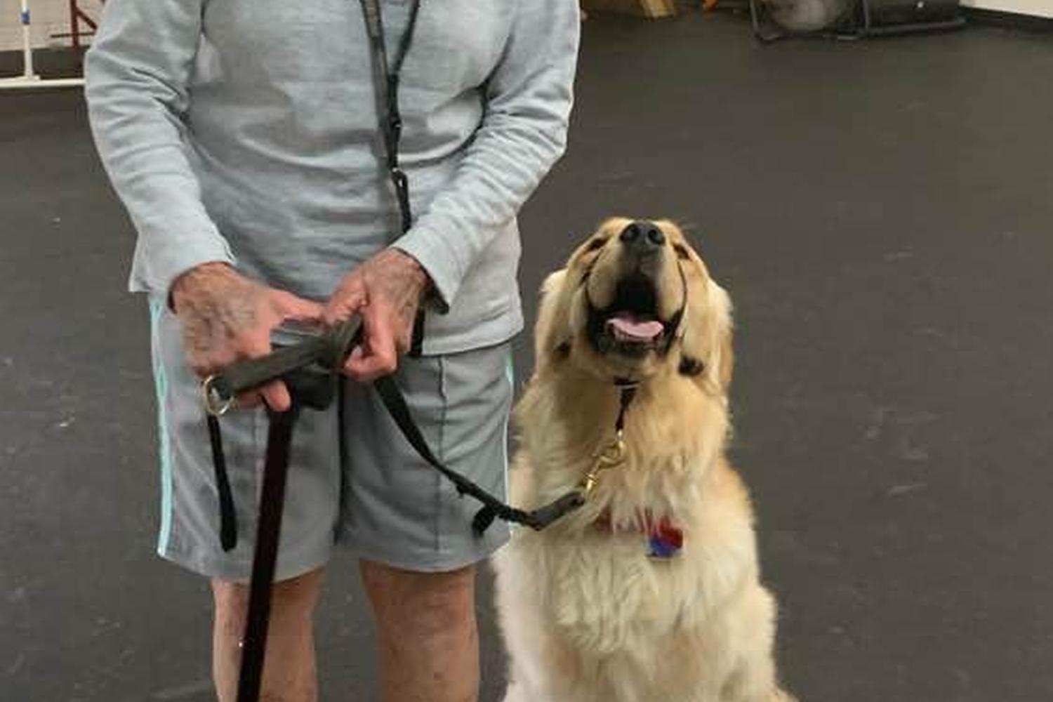 First Class Dog Training 3