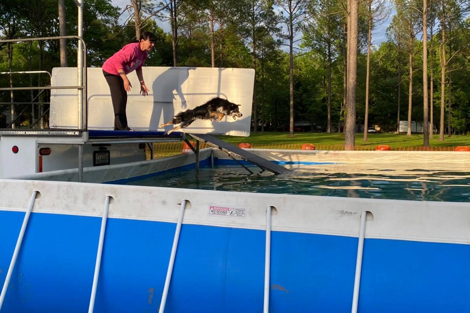 The Pine Hill Ranch Canine Center 3