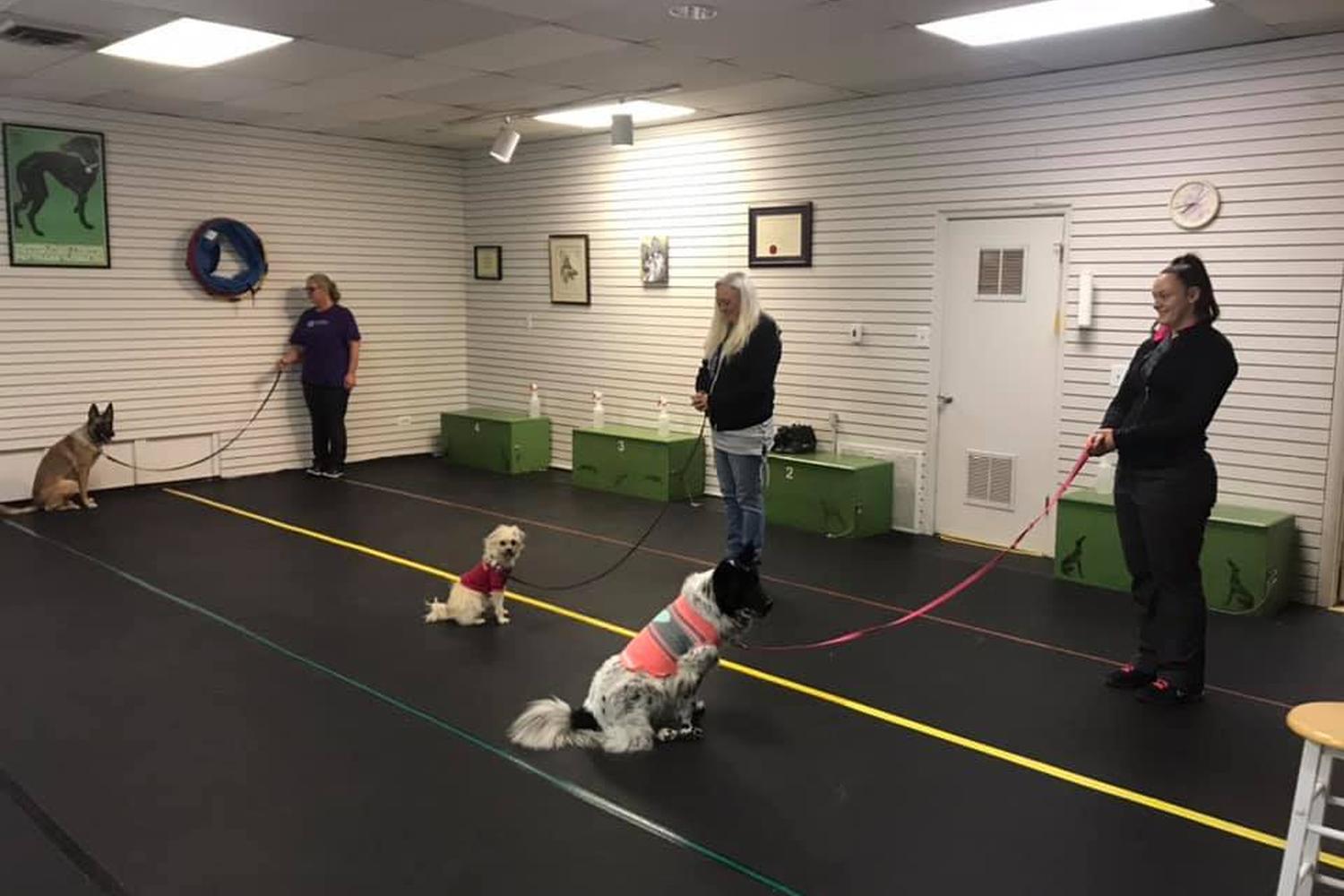 Front Range K9 Academy 5
