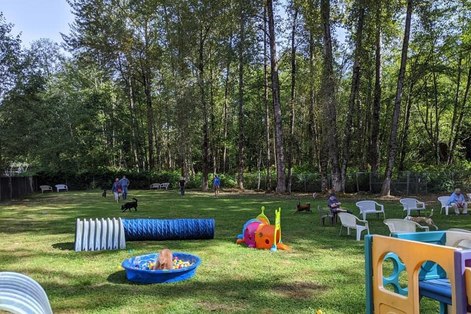 Sunny Lane Canine Academy 0