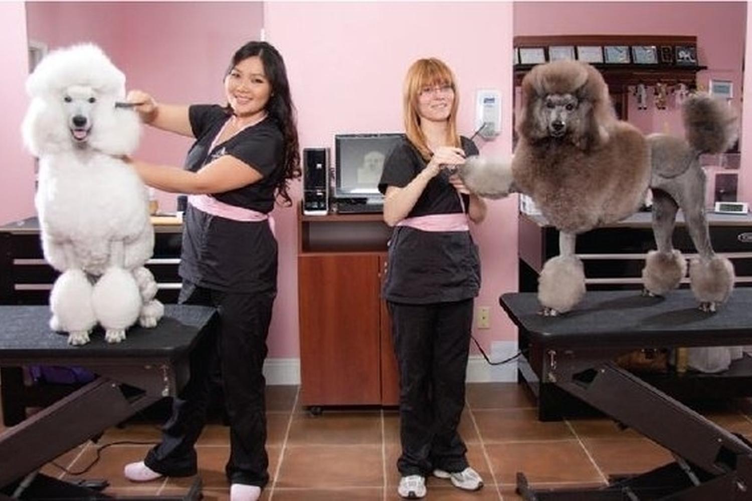 Spoil Me Dog Spa 4