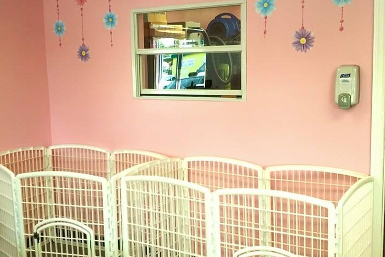 Spoil Me Dog Spa 0
