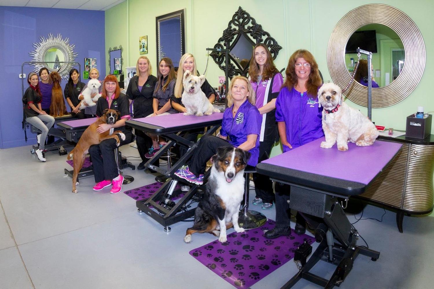 Green Dog Spa 2