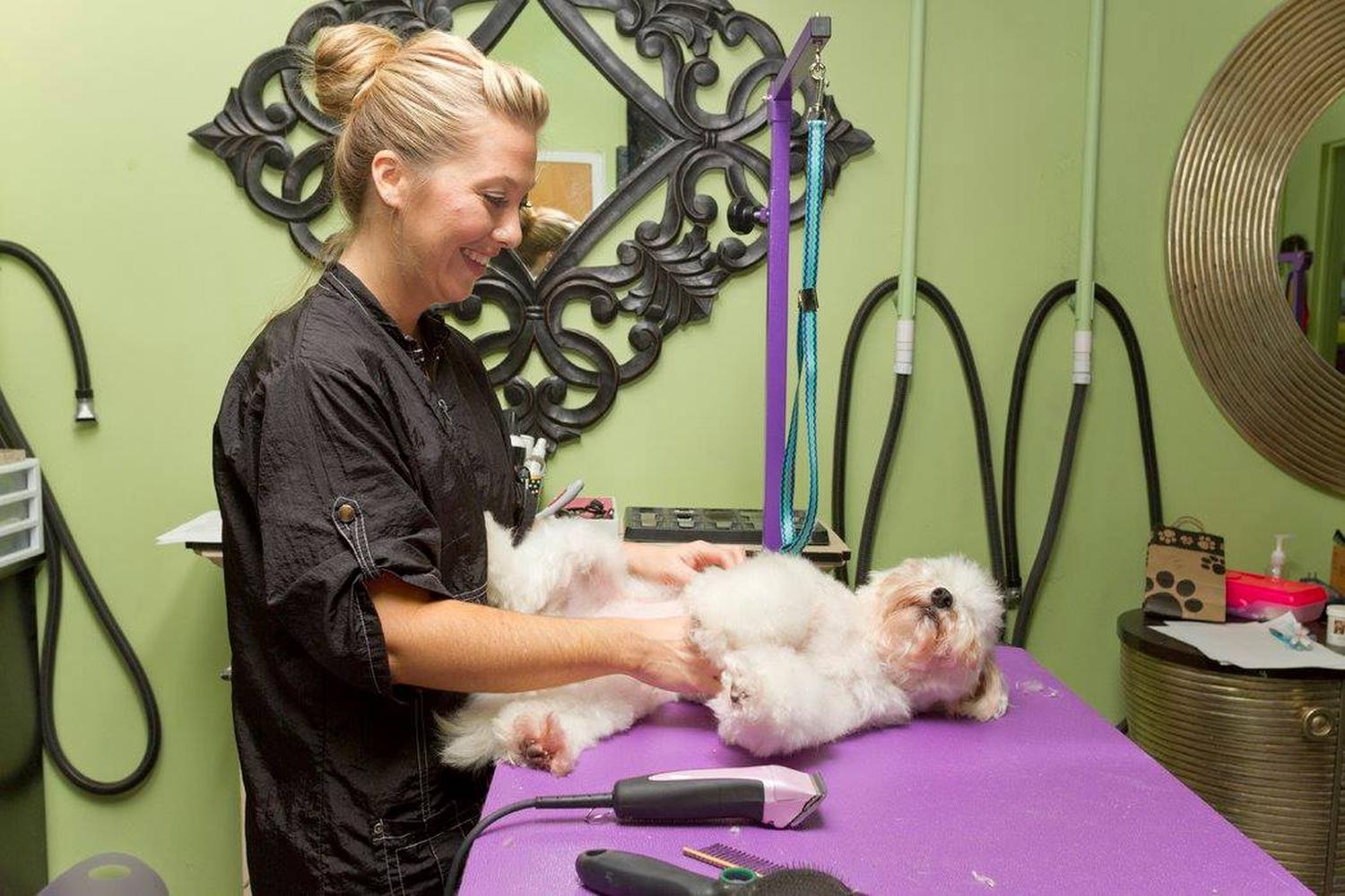 Green Dog Spa 3