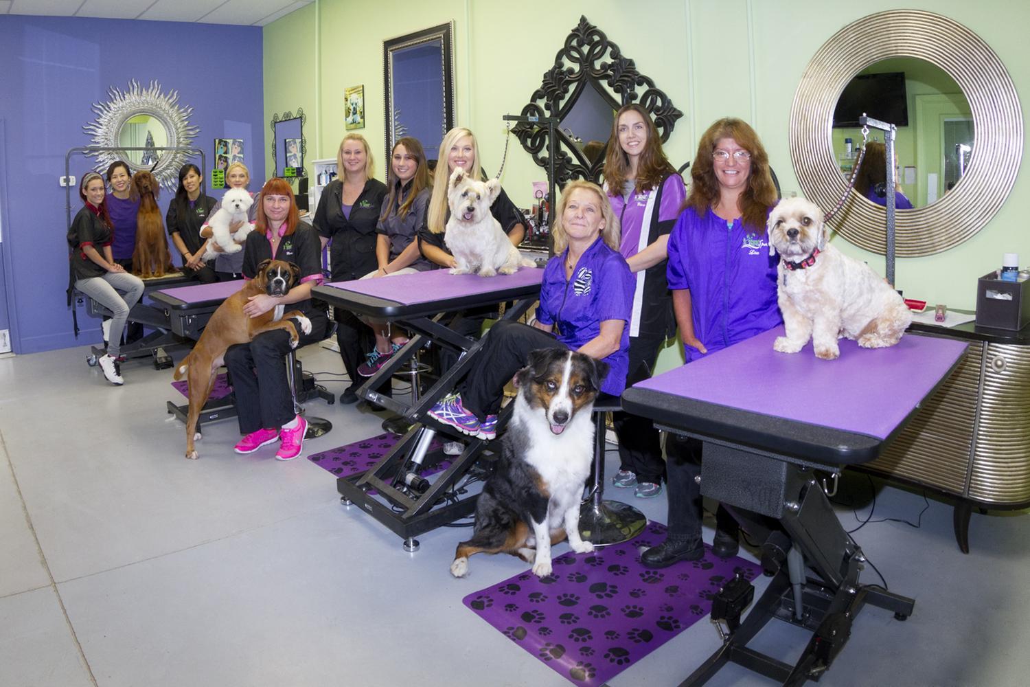 Green Dog Spa 6
