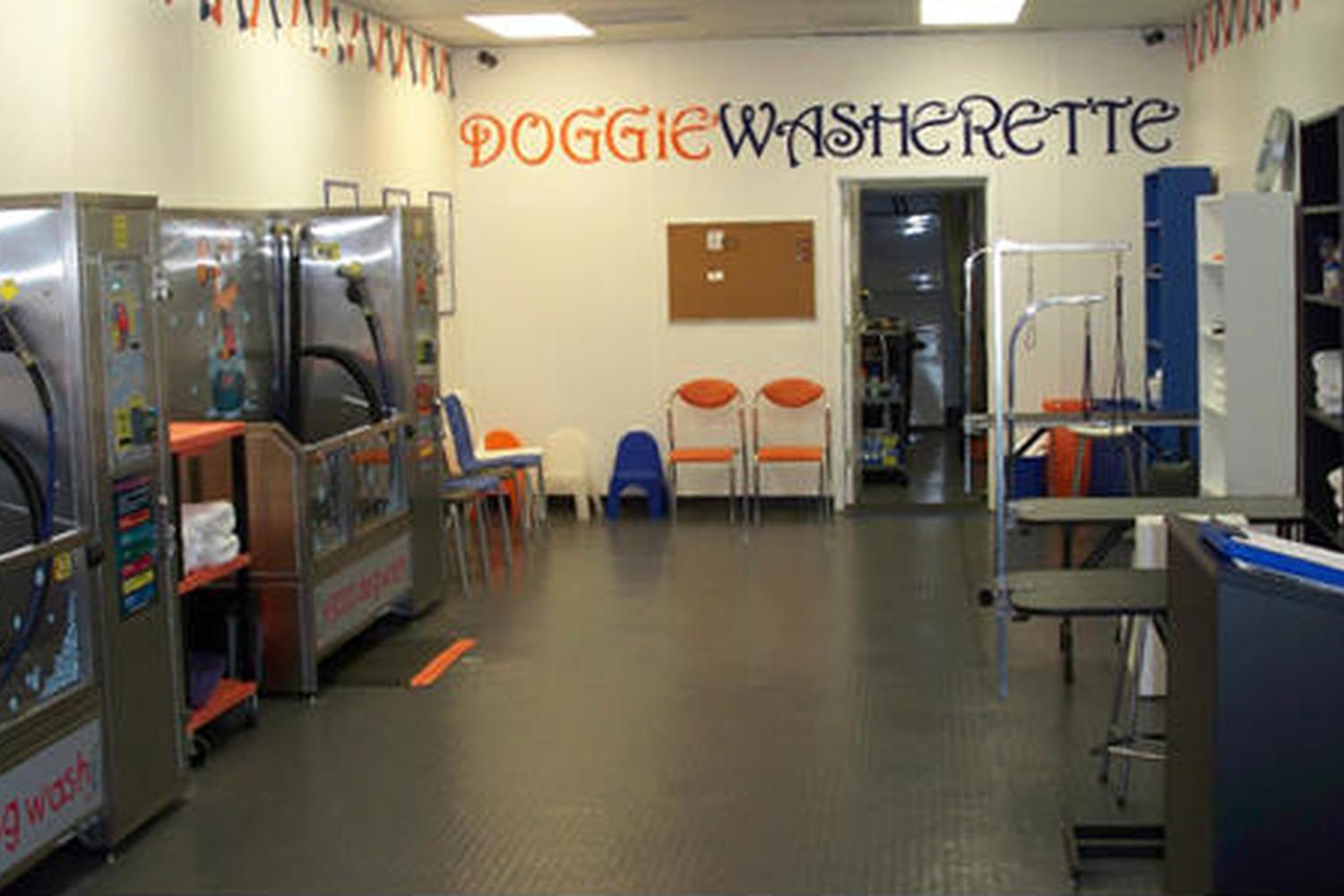 Doggie Washerette 5