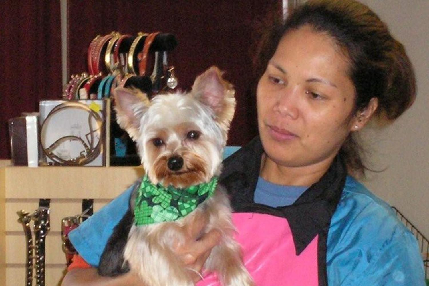 Glamour Dogs Salon 0