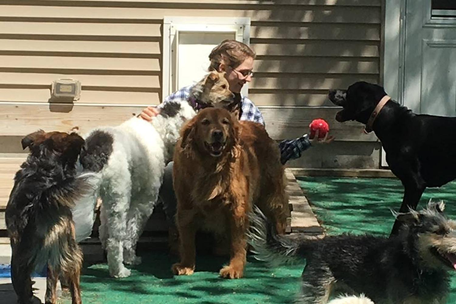 Sunshine Pet Parlor 6