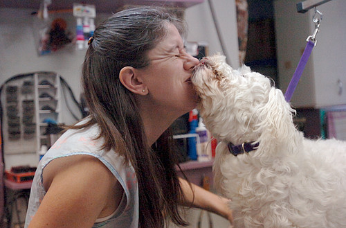 Trudy's Pooch Parlor 0