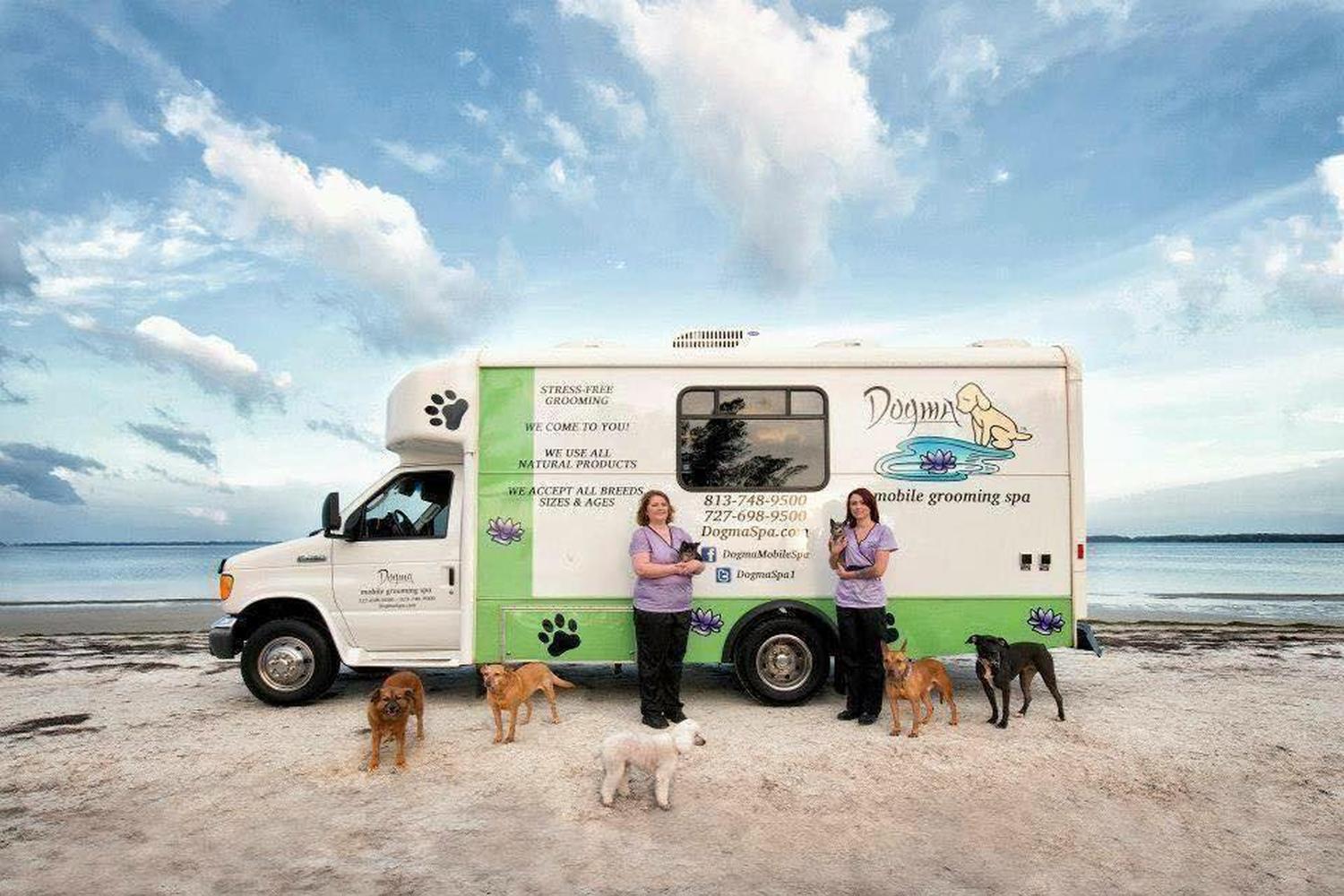 Dogma Mobile Grooming Spa 3