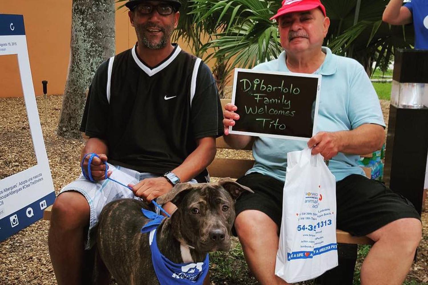 Broward County Animal Care and Adoption Center 4