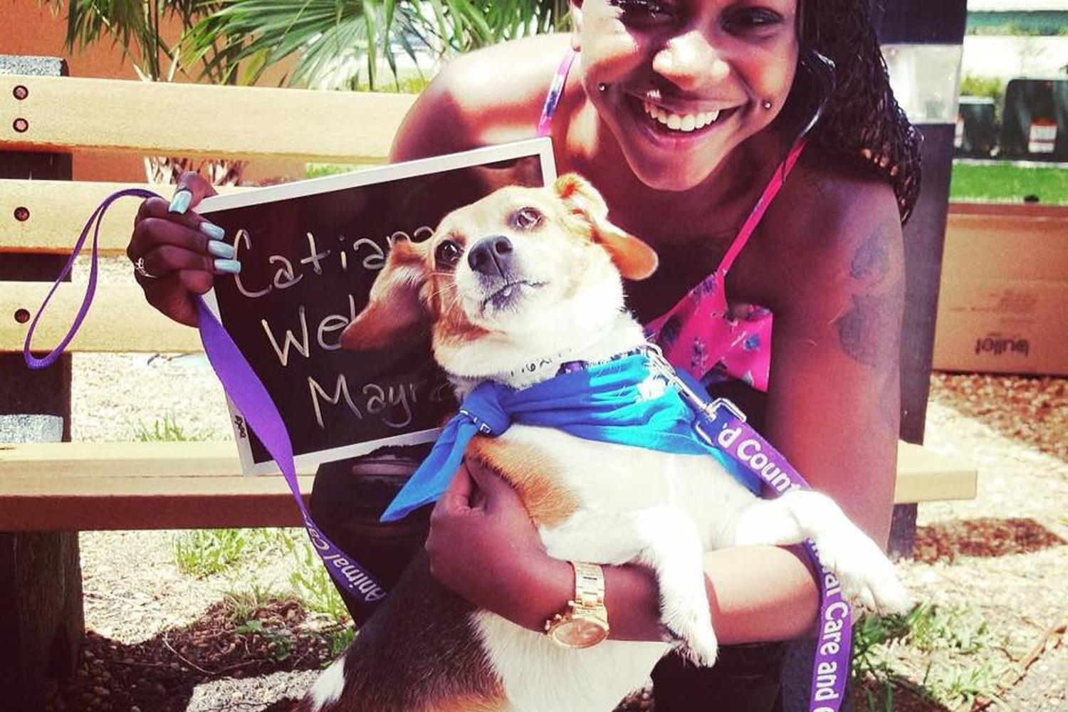 Broward County Animal Care and Adoption Center 2