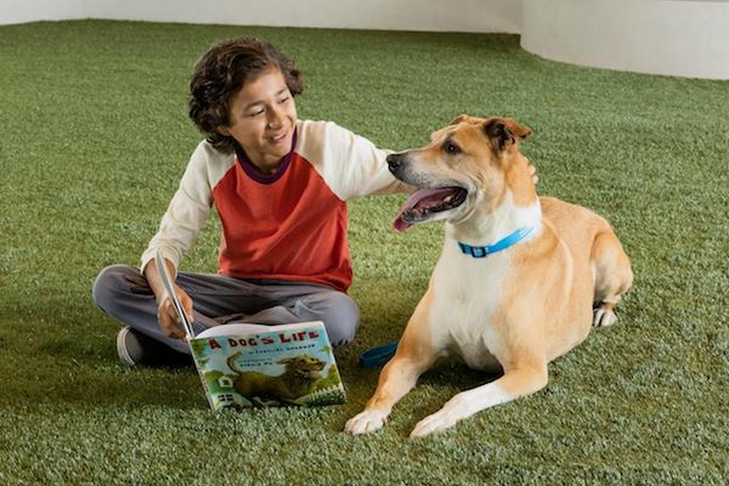 Wallis Annenberg PetSpace 5