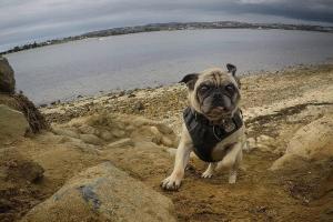 Fiesta Island Park