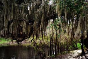 Canoe Outpost-Peace River