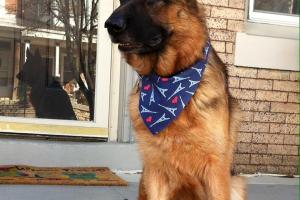 Natural Touch Grooming