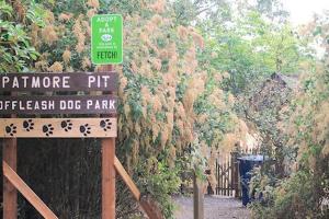 Patmore Pit Dog Park