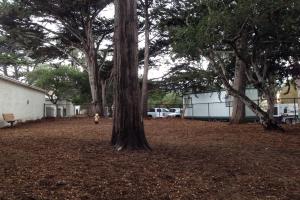 El Estero Dog Park